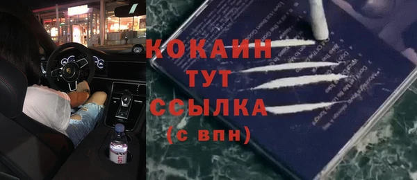 крисы Алзамай