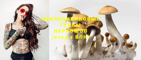 твердый Краснотурьинск