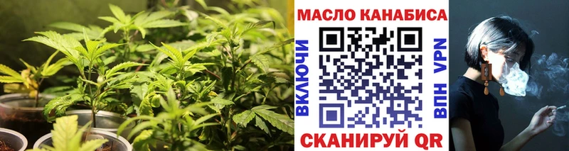 мега зеркало Западная Двина ТГК концентрат